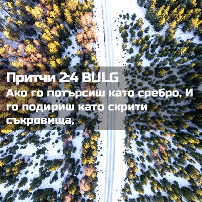 Picture 02 - Притчи 2:4 BULG - Ако го потърсиш като - Bible Verse Picture