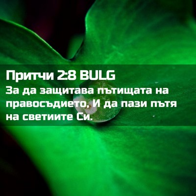 Picture 02 - Притчи 2:8 BULG - За да защитава пътищата на - Bible Verse Picture