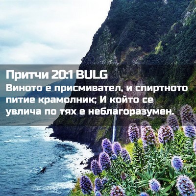 Picture 02 - Притчи 20:1 BULG - Виното е присмивател, и - Bible Verse Picture