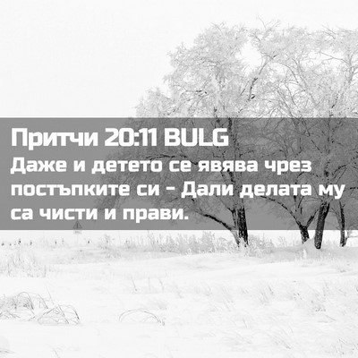 Picture 02 - Притчи 20:11 BULG - Даже и детето се явява чрез - Bible Verse Picture