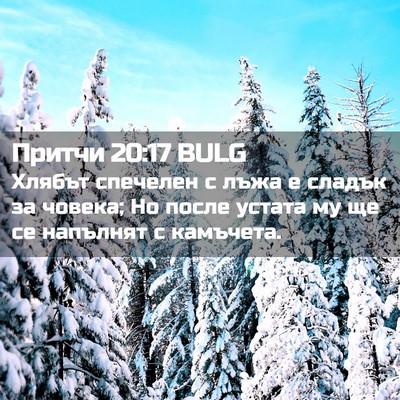 Picture 02 - Притчи 20:17 BULG - Хлябът спечелен с лъжа е - Bible Verse Picture