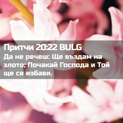 Picture 02 - Притчи 20:22 BULG - Да не речеш: Ще въздам на - Bible Verse Picture