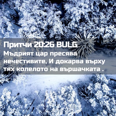Picture 02 - Притчи 20:26 BULG - Мъдрият цар пресява - Bible Verse Picture