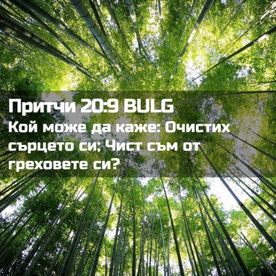 Picture 02 - Притчи 20:9 BULG - Кой може да каже: Очистих - Bible Verse Picture