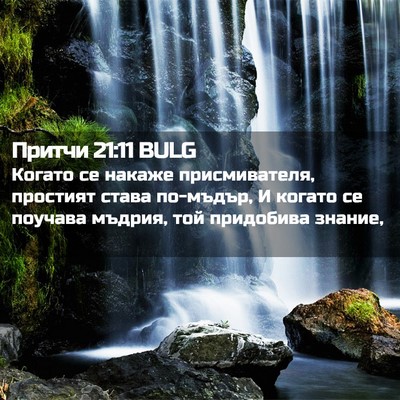 Picture 02 - Притчи 21:11 BULG - Когато се накаже - Bible Verse Picture