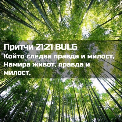 Picture 02 - Притчи 21:21 BULG - Който следва правда и - Bible Verse Picture
