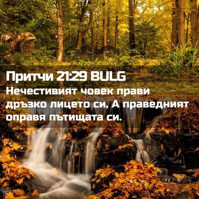 Picture 02 - Притчи 21:29 BULG - Нечестивият човек прави - Bible Verse Picture