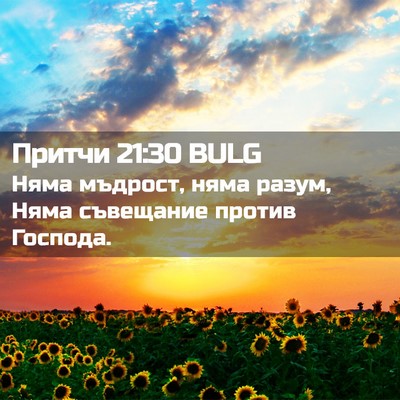 Picture 02 - Притчи 21:30 BULG - Няма мъдрост, няма разум, - Bible Verse Picture