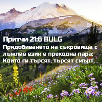 Picture 02 - Притчи 21:6 BULG - Придобиването на - Bible Verse Picture