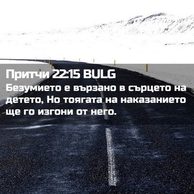 Picture 02 - Притчи 22:15 BULG - Безумието е вързано в - Bible Verse Picture