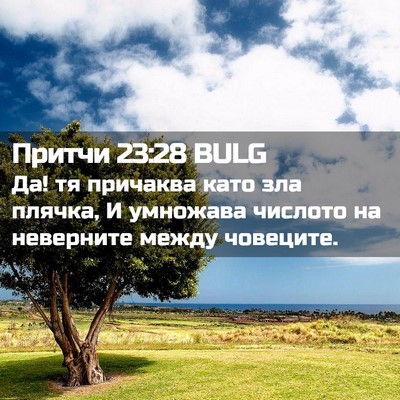 Picture 02 - Притчи 23:28 BULG - Да! тя причаква като зла - Bible Verse Picture