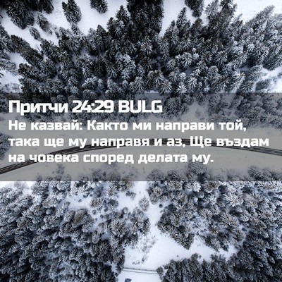 Picture 02 - Притчи 24:29 BULG - Не казвай: Както ми направи - Bible Verse Picture
