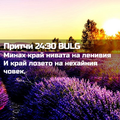 Picture 02 - Притчи 24:30 BULG - Минах край нивата на - Bible Verse Picture