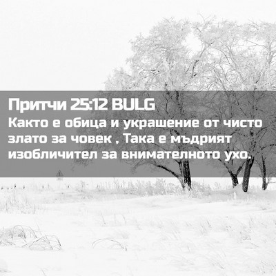 Picture 02 - Притчи 25:12 BULG - Както е обица и украшение - Bible Verse Picture
