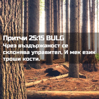 Picture 02 - Притчи 25:15 BULG - Чрез въздържаност се - Bible Verse Picture