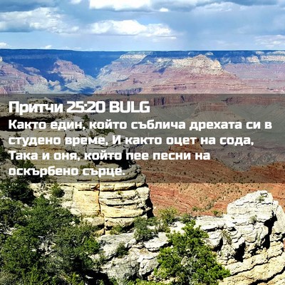 Picture 02 - Притчи 25:20 BULG - Както един, който съблича - Bible Verse Picture