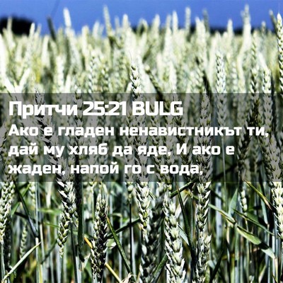Picture 02 - Притчи 25:21 BULG - Ако е гладен ненавистникът - Bible Verse Picture