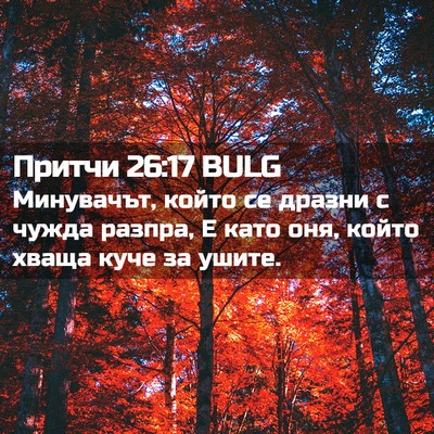Picture 02 - Притчи 26:17 BULG - Минувачът, който се дразни - Bible Verse Picture