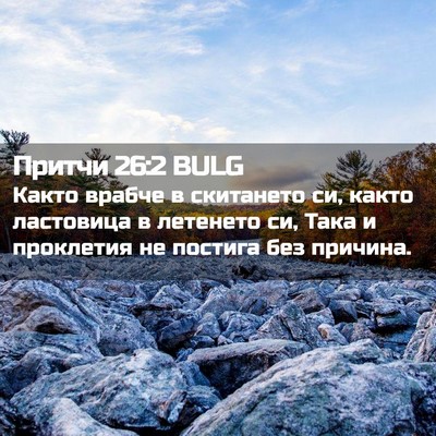 Picture 02 - Притчи 26:2 BULG - Както врабче в скитането - Bible Verse Picture