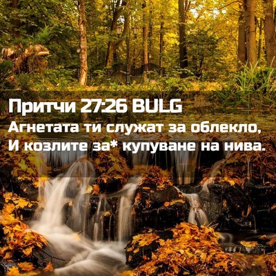 Picture 02 - Притчи 27:26 BULG - Агнетата ти служат за - Bible Verse Picture
