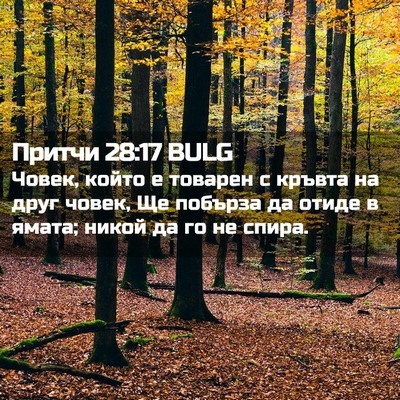 Picture 02 - Притчи 28:17 BULG - Човек, който е товарен с - Bible Verse Picture