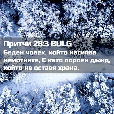 Picture 02 - Притчи 28:3 BULG - Беден човек, който насилва - Bible Verse Picture