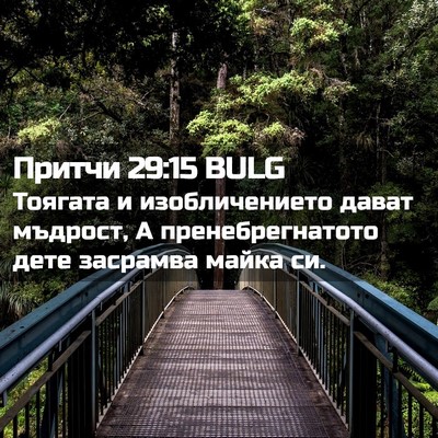 Picture 02 - Притчи 29:15 BULG - Тоягата и изобличението - Bible Verse Picture