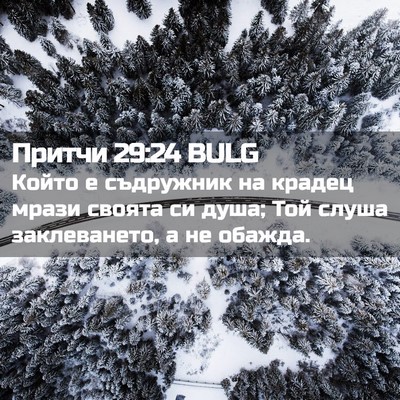 Picture 02 - Притчи 29:24 BULG - Който е съдружник на - Bible Verse Picture