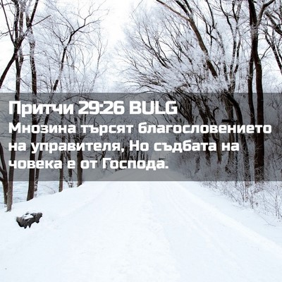 Picture 02 - Притчи 29:26 BULG - Мнозина търсят - Bible Verse Picture