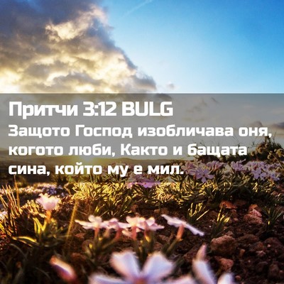 Picture 02 - Притчи 3:12 BULG - Защото Господ изобличава - Bible Verse Picture