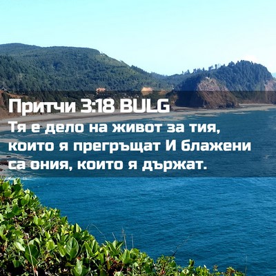 Picture 02 - Притчи 3:18 BULG - Тя е дело на живот за тия, - Bible Verse Picture