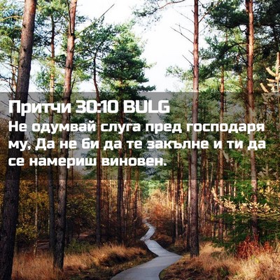 Picture 02 - Притчи 30:10 BULG - Не одумвай слуга пред - Bible Verse Picture