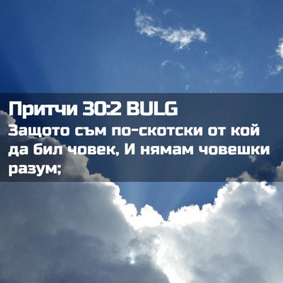 Picture 02 - Притчи 30:2 BULG - Защото съм по-скотски от - Bible Verse Picture