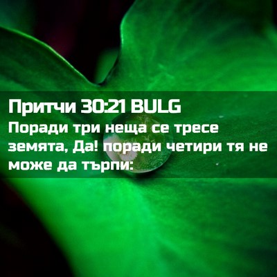 Picture 02 - Притчи 30:21 BULG - Поради три неща се тресе - Bible Verse Picture
