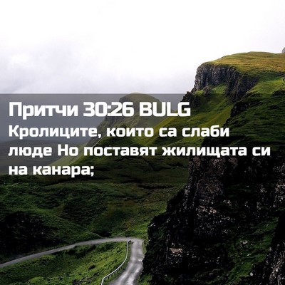 Picture 02 - Притчи 30:26 BULG - Кролиците, които са слаби - Bible Verse Picture
