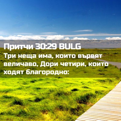 Picture 02 - Притчи 30:29 BULG - Три неща има, които вървят - Bible Verse Picture