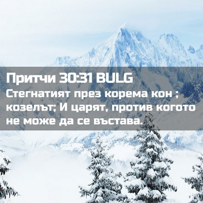 Picture 02 - Притчи 30:31 BULG - Стегнатият през корема кон - Bible Verse Picture