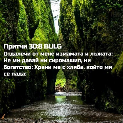 Picture 02 - Притчи 30:8 BULG - Отдалечи от мене измамата - Bible Verse Picture