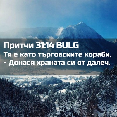 Picture 02 - Притчи 31:14 BULG - Тя е като търговските - Bible Verse Picture