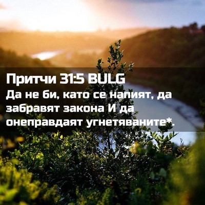 Picture 02 - Притчи 31:5 BULG - Да не би, като се напият, да - Bible Verse Picture
