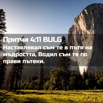 Picture 02 - Притчи 4:11 BULG - Наставлявал съм те в пътя - Bible Verse Picture