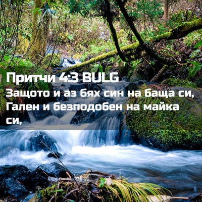 Picture 02 - Притчи 4:3 BULG - Защото и аз бях син на баща - Bible Verse Picture