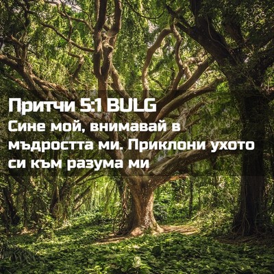 Picture 02 - Притчи 5:1 BULG - Сине мой, внимавай в - Bible Verse Picture