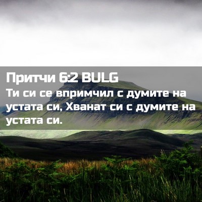 Picture 02 - Притчи 6:2 BULG - Ти си се впримчил с думите - Bible Verse Picture