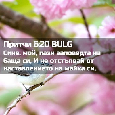 Picture 02 - Притчи 6:20 BULG - Сине, мой, пази заповедта - Bible Verse Picture