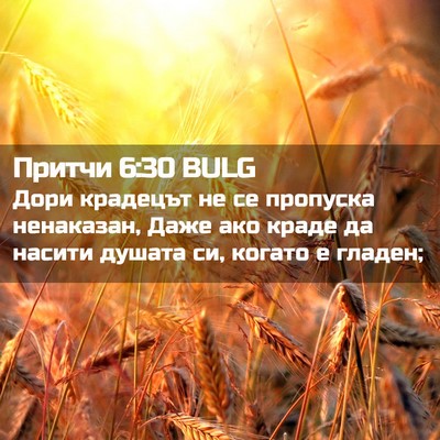 Picture 02 - Притчи 6:30 BULG - Дори крадецът не се - Bible Verse Picture