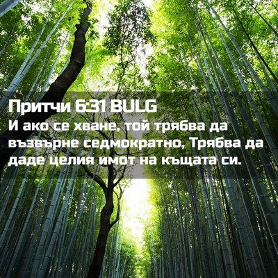 Picture 02 - Притчи 6:31 BULG - И ако се хване, той трябва - Bible Verse Picture