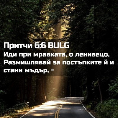 Picture 02 - Притчи 6:6 BULG - Иди при мравката, о - Bible Verse Picture