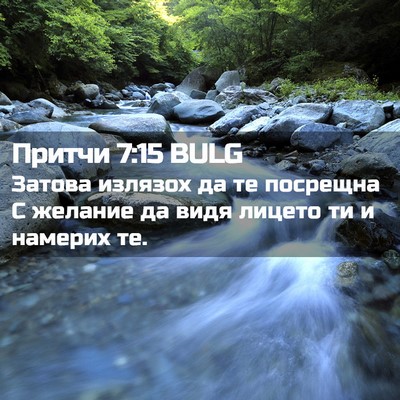 Picture 02 - Притчи 7:15 BULG - Затова излязох да те - Bible Verse Picture