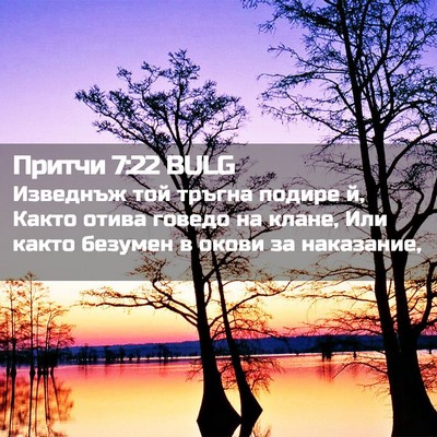 Picture 02 - Притчи 7:22 BULG - Изведнъж той тръгна подире - Bible Verse Picture